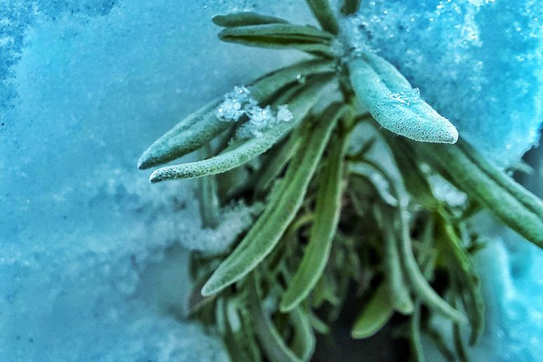 2022...suntem pregatiti!